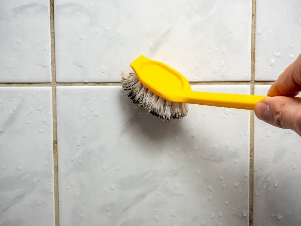 Best Mold Removal Specialists  in Chula Vista, CA